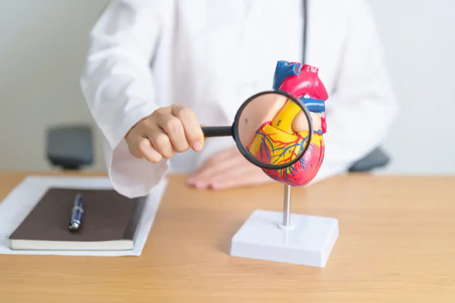 Patologie delle valvole cardiache: riparazione o sostituzione?